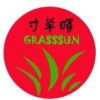 專業(yè)語言溝通的橋梁 寸草暉翻譯公司助力國際業(yè)務發(fā)展